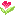 ��͸Ժ��: http://www.abtsaikhao.go.th/UserFiles/Image/icon_3.gif